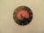 Falióra afrika