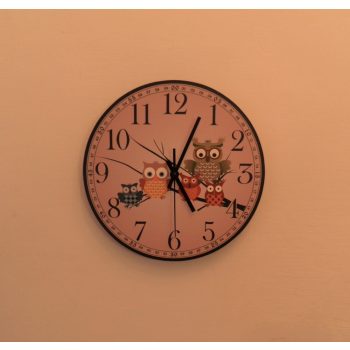 Falióra bagoly család